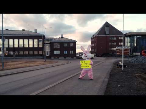 VG-lista til Vardø - Tut for VGlistatilVardø