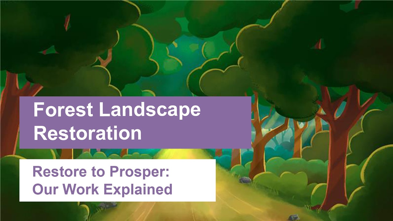Restore to Prosper – Promoting Forest Landscape Restoration