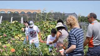 AgDiscovery Summer Camp at UTRGV