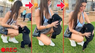 【動物ハプニング】海外美女たちが動物とふれ合う「面白アニマル映像50連発！」| Funny Animal Fails Compilation