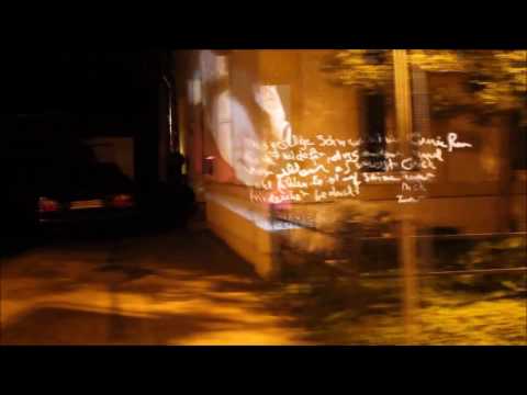 Das gesellige Schwein in Schöppingen