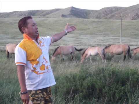 M.Byambajav aldart halzan