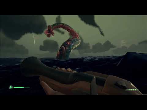 Diario di bordo - L'imbeciurma sconfigge il Kraken