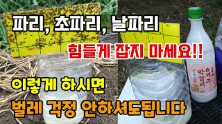 파리,초파리,날파리 힘들게 잡지 말고 이렇게 하시면 벌레 걱정 안하셔도됩니다 날파리초파리트랩 화장실벌레 퇴치…