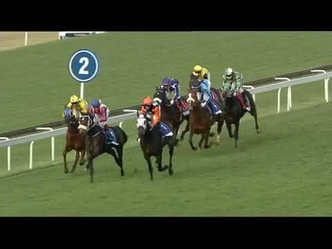 2021.05.01 Gold Bowl (RSA) - Don't Look Back