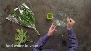 J Schwanke's Zen Bouquet