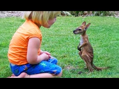 Les meilleurs animaux discutent avec les petits humains de la manière la plus mignonne 🤪 drôles de vidéos d'animaux 2025
