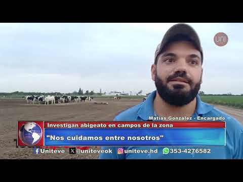 Investigan abigeato en campos de la zona