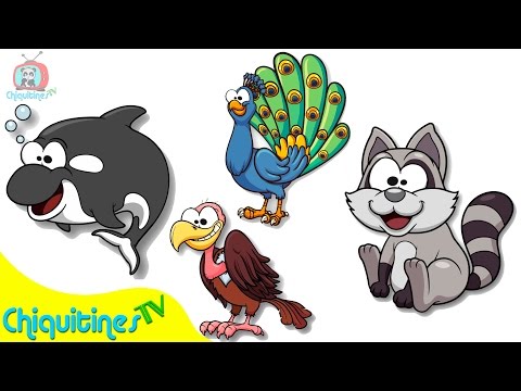 El Sonido de los Animales 3 - Canción Infantil - aprende los animales - animación para niños