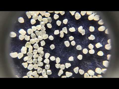 Earthmine Natural Rough Gems Diamond