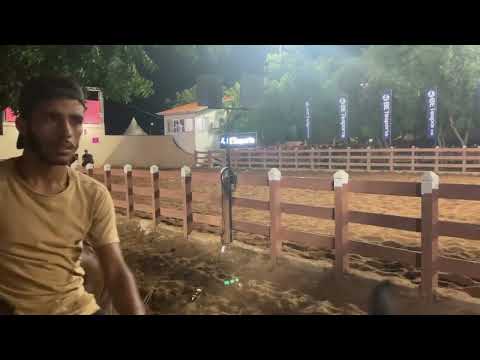 Vaquejada de Brejo Santo/CE 2025: Tradição, Emoção e Cultura Nordestina! 🐎🔥 - Parte 1 #ecogeo