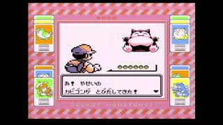 【ポケットモンスター赤】シオンタウン～セキチクシティ到着まで【Part11】