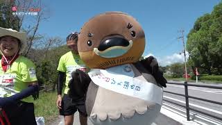 2026/9/22放送・知ったかぶりカイツブリにゅーす