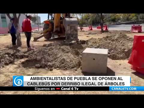 Video: Ambientalistas de Puebla se oponen al Cablebús por derribo ilegal de árboles