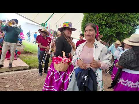 OAXACA | SAN PEDRO MOLINOS 2026: Santa Cruz Tacahua y su Banda Nativo en la fiesta de este pueblo