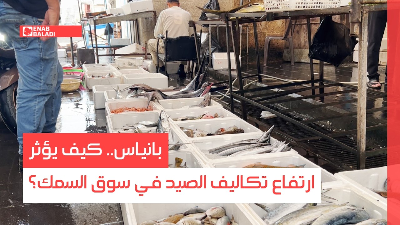 بانياس.. كيف يؤثر ارتفاع تكاليف الصيد في سوق السمك؟