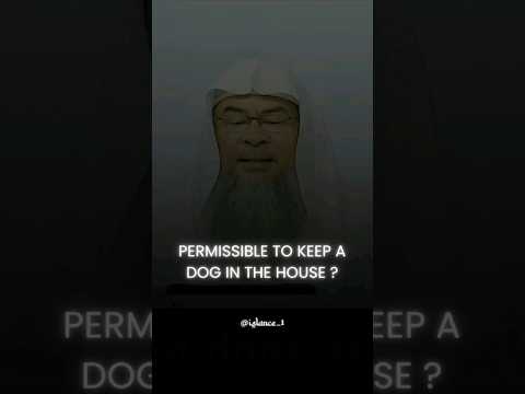 Ruling on Keeping Dogs as Pets in Islam - Sheikh Assim Al Hakeem #shorts #assimalhakeem #dog