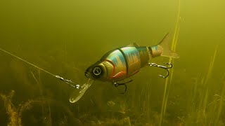Блесна shark ice fishing jig