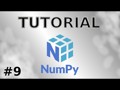 Numpy Tutorial #9 | Arrays speichern und laden