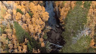 Fall Colors from Above