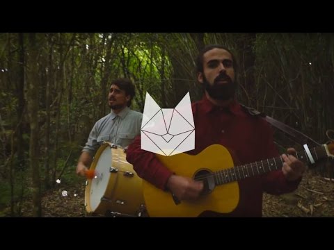 Spaceships video