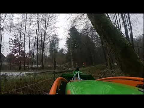 MDB LV 500 mit Ritter-Seilwinde - Erlen am Bach fällen in Bad Bodenteich - B&B Baumfäll-Team Uelzen