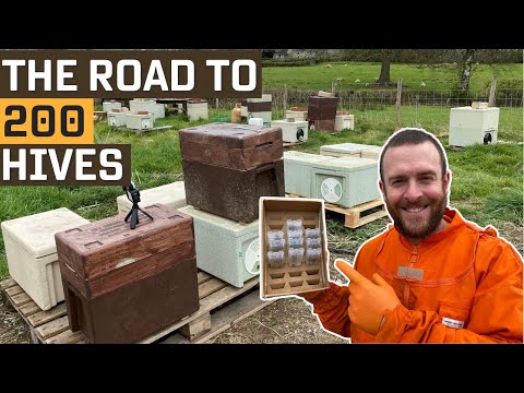Road to 200 Beehives. Making Nucs To Increase Hive Numbers
