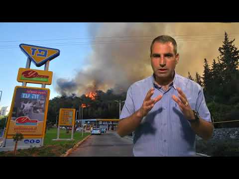 ד"ר שי לוי - ספר שריפות יער בישראל