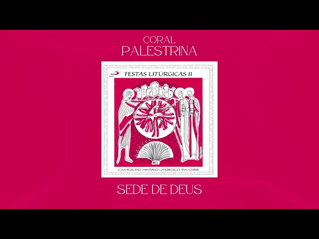Preview do vídeo