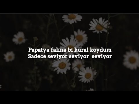irem derici & eda sakız- papatya (sözleri/ lyrics)