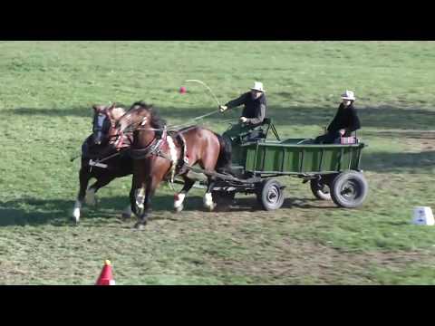 Formanská jízda - dvojspřeží - Video záznamy z MČR chladnokrevných koní 2017
