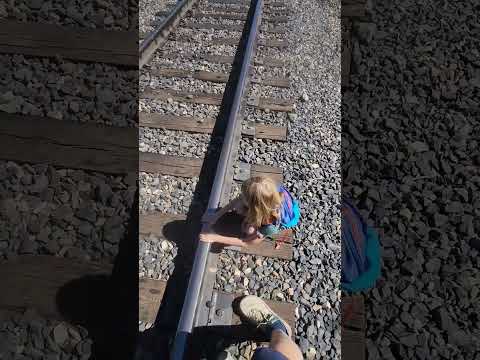 Train Hopping #explore #trains #railroad #hiking #outdoors #travel #getoutside #diesel #amtrak #fun