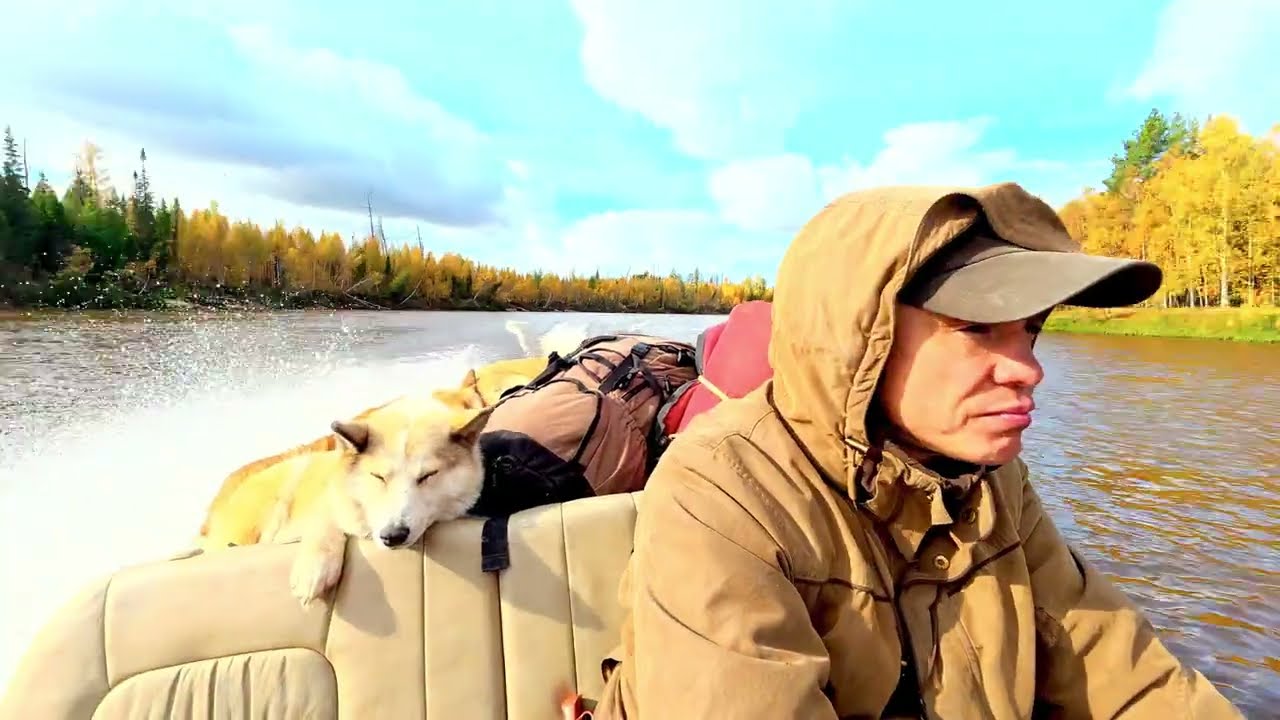 Тайга зовёт !  Уехали в осень, ловим огромных щук , Шаман догнал лося .  щуки на 