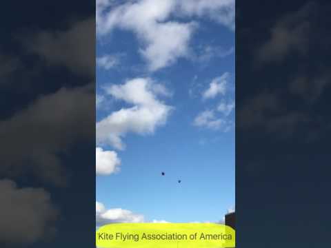 download lagu mp3 mp4 Good Wind Speed For Kite Flying, download lagu Good Wind Speed For Kite Flying gratis, unduh video klip Good Wind Speed For Kite Flying
