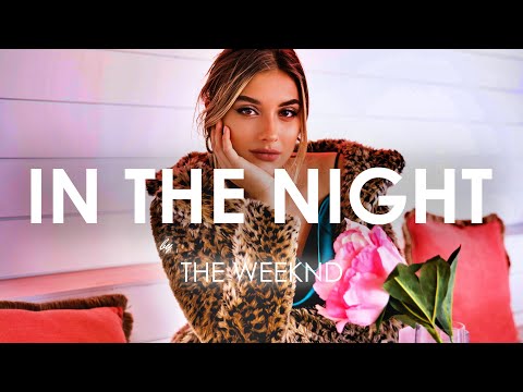 Creative Ades & CAID - In The Night (Cover Remix)