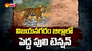 Tiger Hulchal In Vijayanagaram District | AP Latest News | Sakshi TV