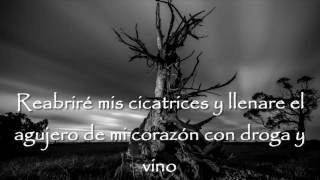 Harakiri For The Sky - Calling The Rain Subtitulado al Español