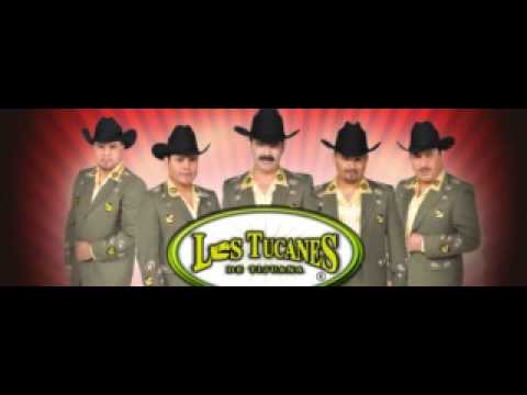 download lagu mp3 mp4 Los Tucanes De Tijuana Mundo De Amor Mp3, download lagu Los Tucanes De Tijuana Mundo De Amor Mp3 gratis, unduh video klip Los Tucanes De Tijuana Mundo De Amor Mp3