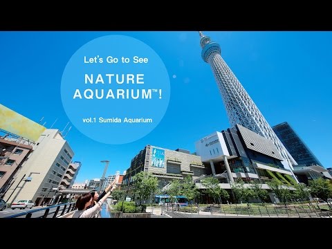 [ADAview] Let’s Go to See NATURE AQUARIUM! Vol.1 Sumida Aquarium