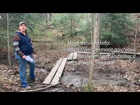 Recreational Trail Building and Wetlands