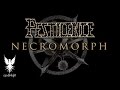 Pestilence - Necro Morph 