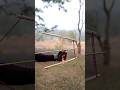 How To Make Bow And Arrow At Home Diy Craft Youtubeshorts Wood Bamboo