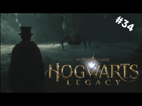 Hogwarts Legacy Gameplay #34 - Tobbs suchen in der Höhle
