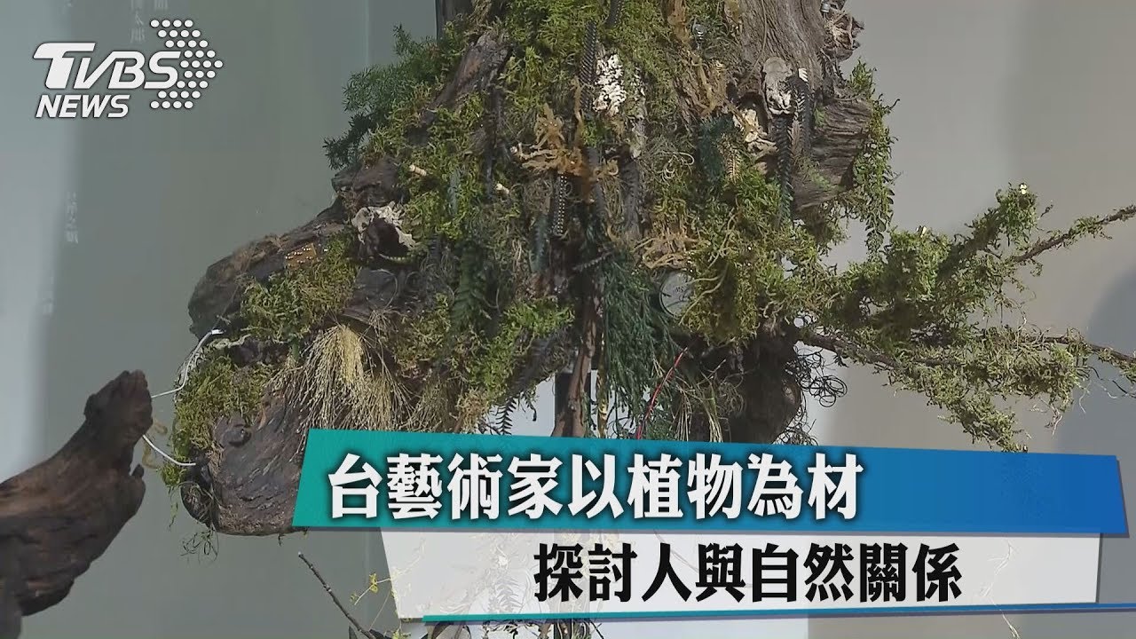 台藝術家以植物為材 探討人與自然關係