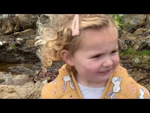 Little girl meets Orcas in the wild