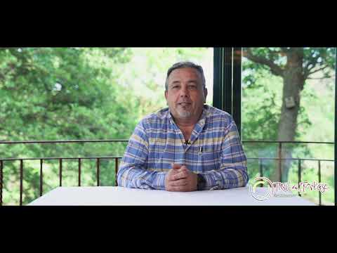 Opinión real de cliente sobre Digital State Agency