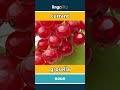 currant - grosella video thumbnail