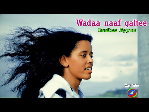 Caaltuu Ayyuu - Wadaa naaf galtee - New Ethiopian music - Oromo cultural video.