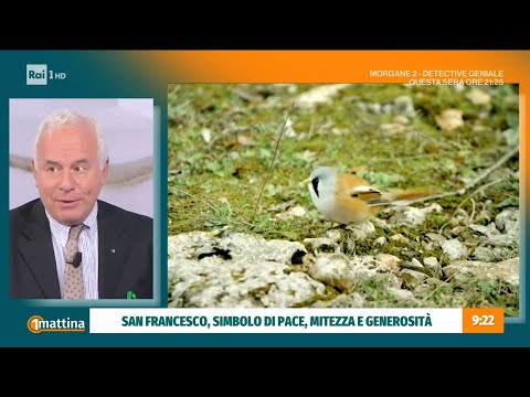 San Francesco D'assisi x Unomattina - 10/04/2022