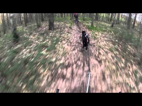 lisa en daiko @ engsbergen